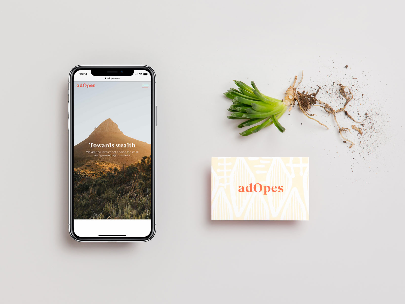 adOpes Webseite auf Handybildschirm und Visitenkarte